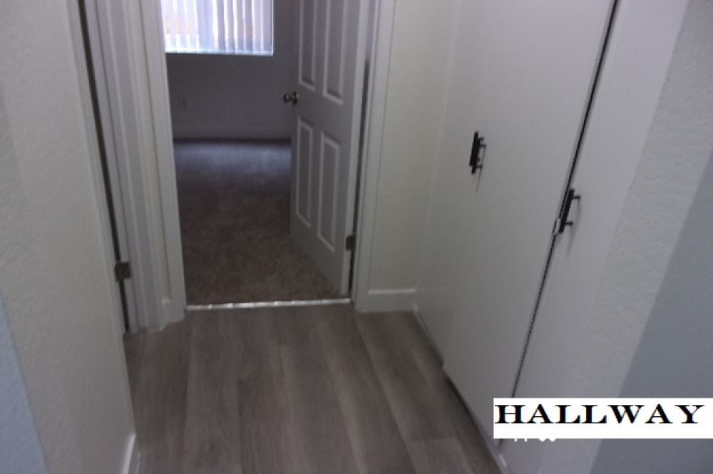 This image is the visual representation of 1 bed 1 bath empty 5 in Casa Del Sol Apartments.